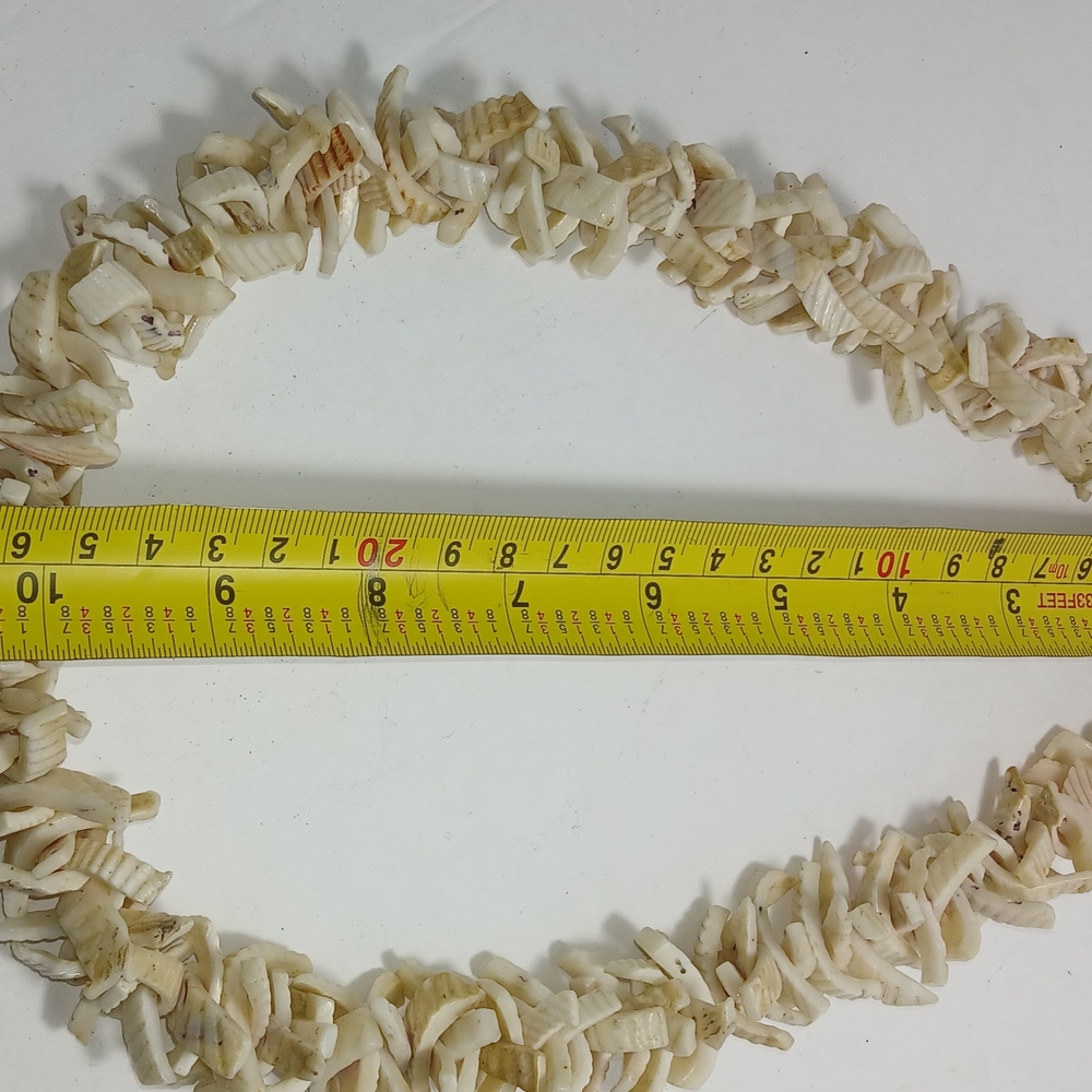 Natural Shell Necklace - Picture 2 of 3